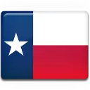 Bandera del estado Texas